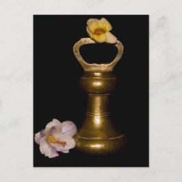 Bläserattraktion Postkarte