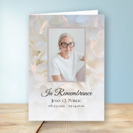 Bläserbeerservice in weißer Nelke Programm