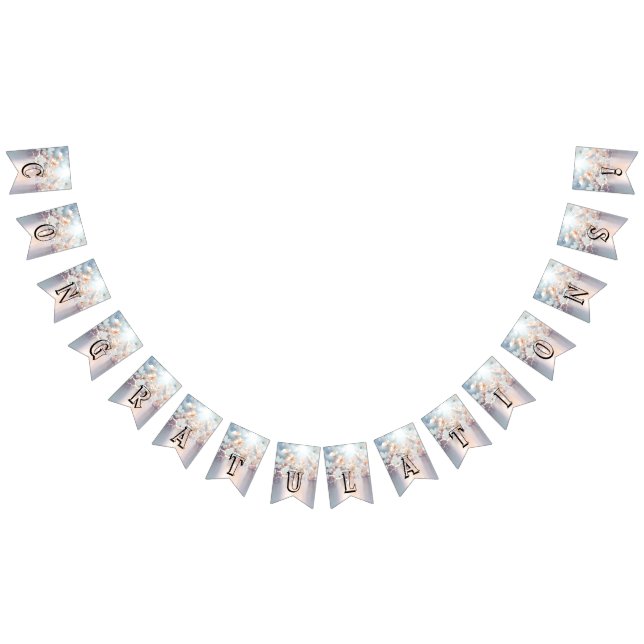 Bläserenjagdflagge Wimpelkette (Alle)