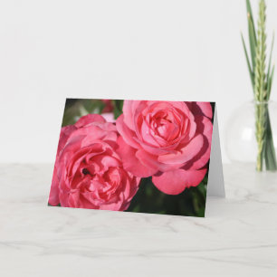 Bläsernblank Inside Hübsch rosa Elegant geklappt