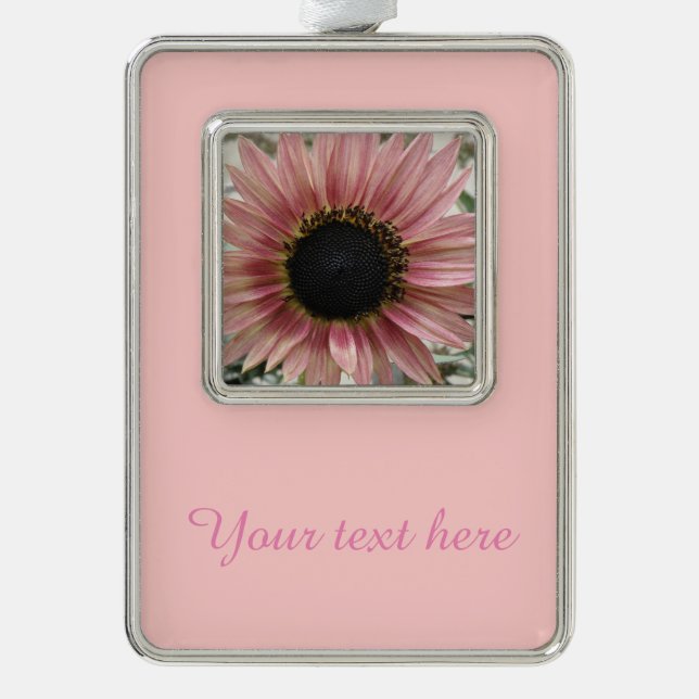 Blass Pink Sonnenblume Personalisiert Rahmen-Ornament Silber (Vorderseite)