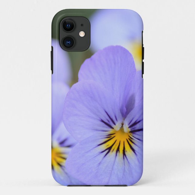 Blassblaue Stiefmütterchen Case-Mate iPhone Hülle (Rückseite)
