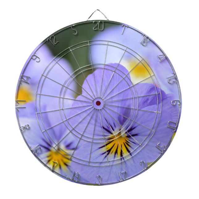 Blassblaue Stiefmütterchen Dartscheibe (vorne)