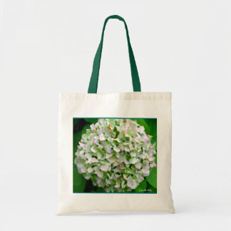 Blasse Hydrangea-Budget-Tasche Tragetasche