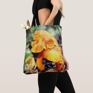 Blasse orange wilde Pilze Nahaufnahme
