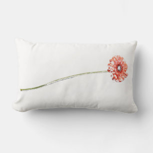 Blasse rote Chrysantheme Gerbera Blumenkissen Lendenkissen