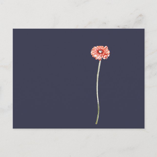 Blasse rote Gerbera-Blüte Postkarte (Vorderseite)