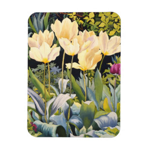 Blasse Tulpen Magnet