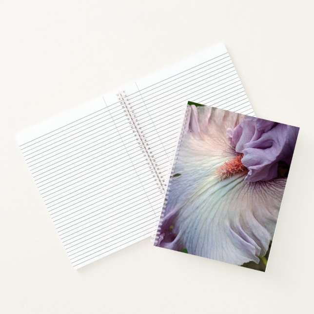 Blasse violette Bartiris-Blüte Notizbuch (Innenseite)