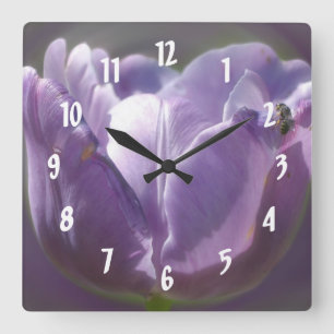 Blasser Lila Tulip mit Bienen-Blume Quadratische Wanduhr