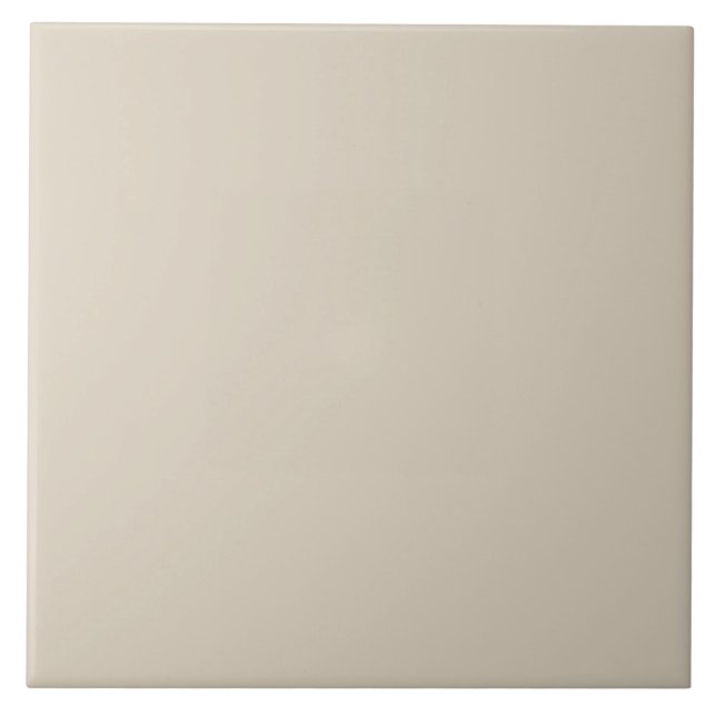 Blasses Taupe Keramik Tile. Fliese (Vorderseite)