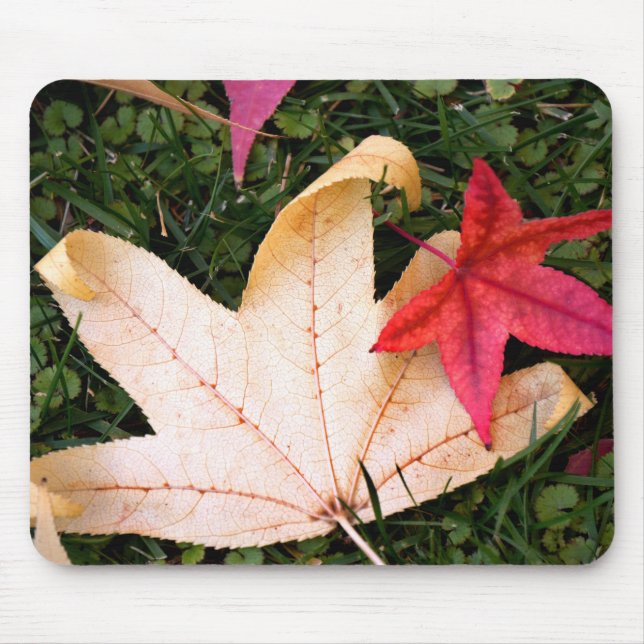 Blassfarbenes Ahornleaf Mousepad (Vorne)