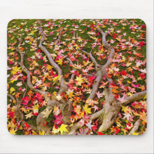 Blassfarbenes Ahornleaf Mousepad