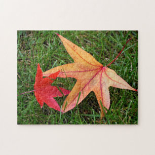 Blassfarbenes Ahornleaf Puzzle