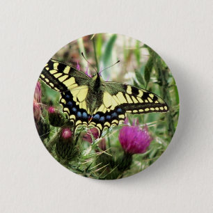 Blassgelb und blau button