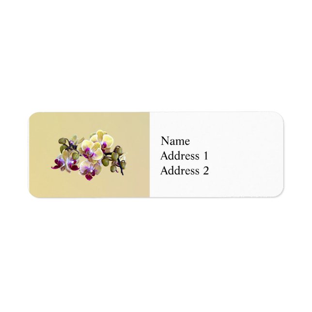 Blassgelb und Magenta Phalaenopsis Orchideen (Vorne)