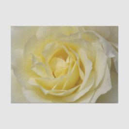 Blassgelbes Rosenpapier Seidenpapier