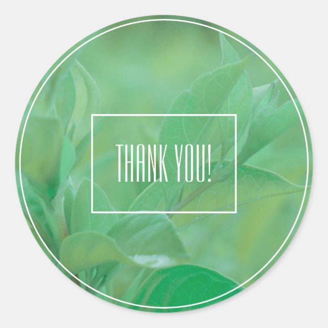 Blassgrüne Leaf-Pflanze Danke, Aufkleber (Vorderseite)