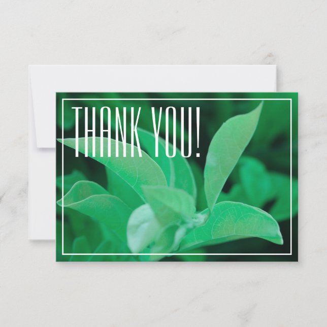 Blassgrüne Leaf-Pflanze Danke, Flachkarte (Vorderseite)