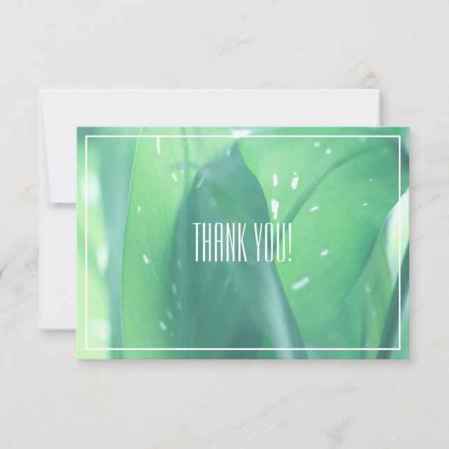 Blassgrüne Leaf-Pflanze Danke, Flachkarte (Vorderseite)