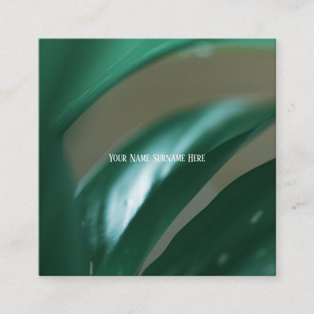 Blassgrüne Pflanze  Naturerlebniskarte Quadratische Visitenkarte (Vorderseite)