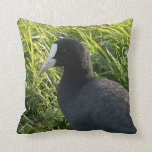 Blässhuhn Kissen