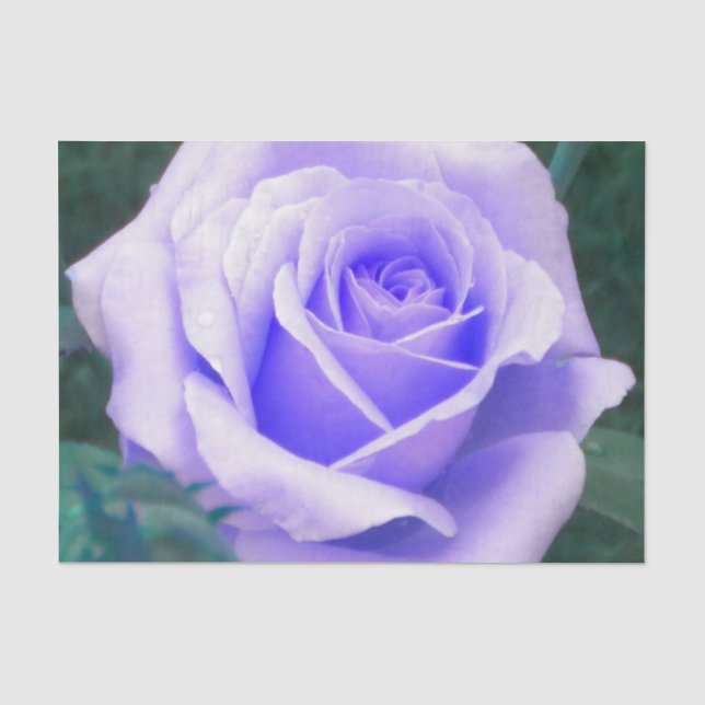 Blasslavender-Rose Seidenpapier (Vorderseite)