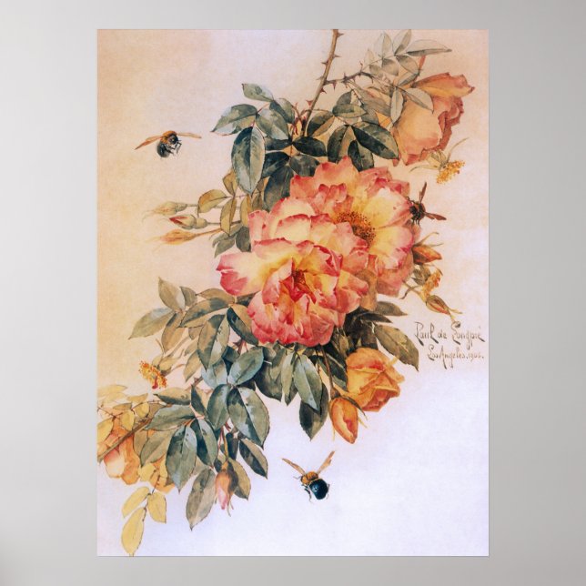 Blassorange Rose Vintage Poster (Vorne)