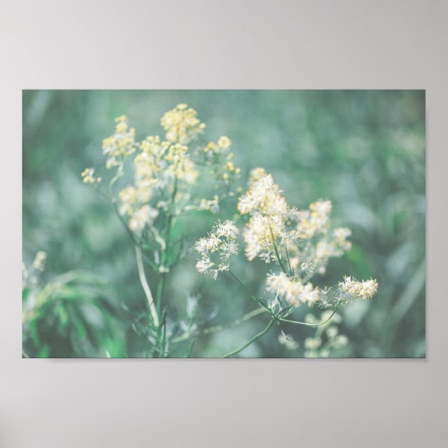 Blasspastellgrün Wilde Blume Wiese Poster (Vorne)