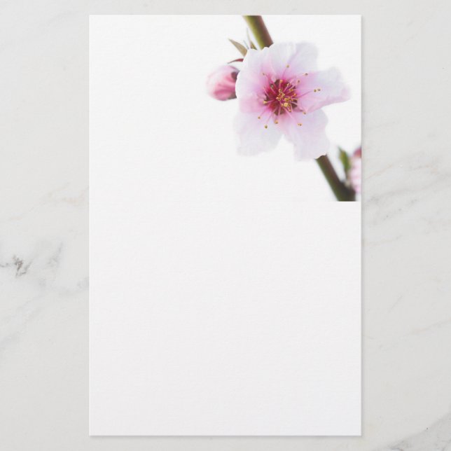 Blassrosa Blume Briefpapier (Vorderseite)