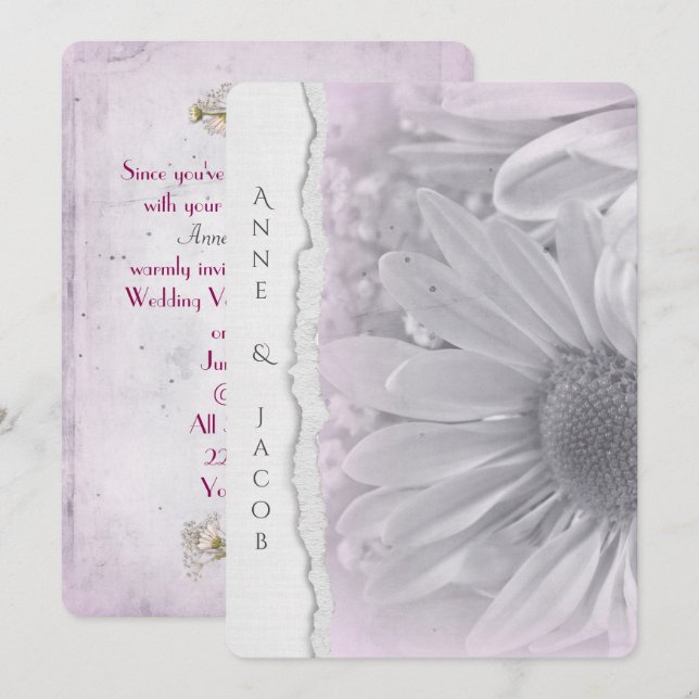 Blassrosa Daisy Makro auf abgerissenem Papier Einladung (Vorne/Hinten)