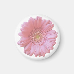 Blassrosa Magnet