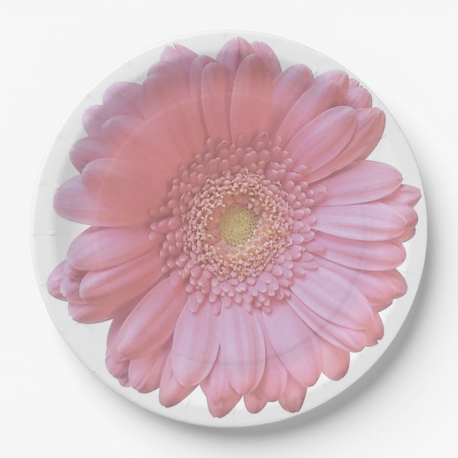Blassrosa Pappteller (Vorderseite)
