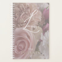 Blassrosa Rosen Geheimnisvolle Gärten Planer