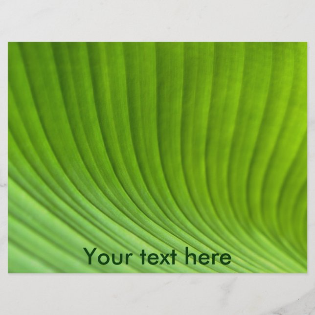 Blatt (Vorne)