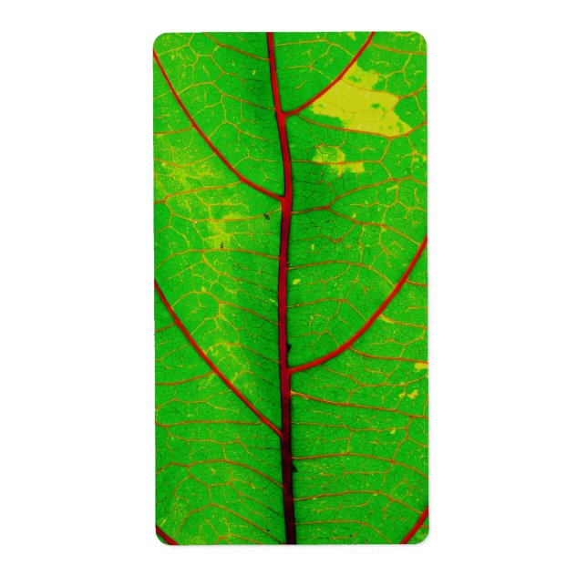 Blatt (Vorne)