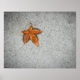 Blatt auf dem Bürgersteig Poster