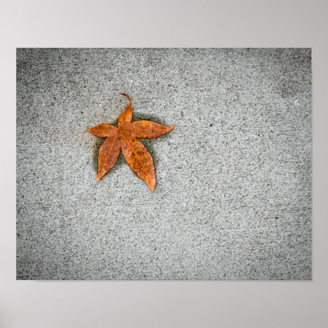 Blatt auf dem Bürgersteig Poster (Vorne)