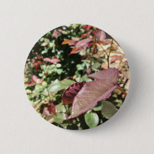 Blatt-Button Button