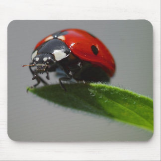 Blatt Damen-But On Edge Of Mousepad