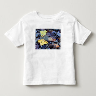 Blatt der Fremont-Pappel auf der Überschwemmungseb Kleinkind T-shirt