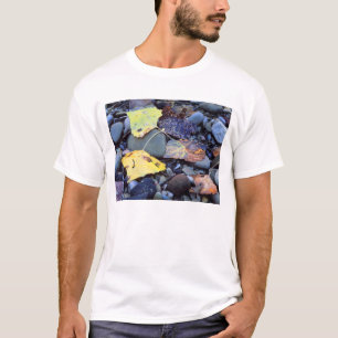Blatt der Fremont-Pappel auf der Überschwemmungseb T-Shirt