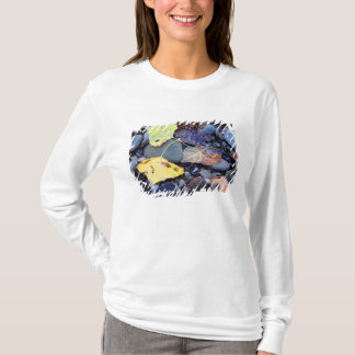 Blatt der Fremont-Pappel auf der Überschwemmungseb T-Shirt