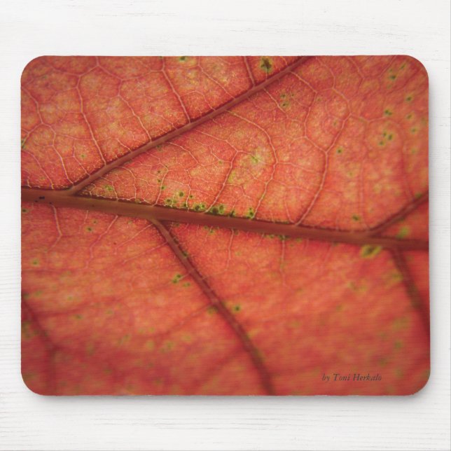 Blatt-Detail Mousepad (Vorne)