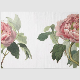 Blatt für rosa Rose-Junk-Zeitschriften Seidenpapier