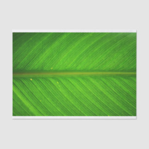Blatt-Gewebe Seidenpapier