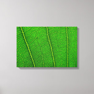 Blatt Leinwanddruck