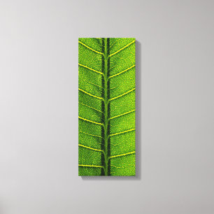 Blatt Leinwanddruck