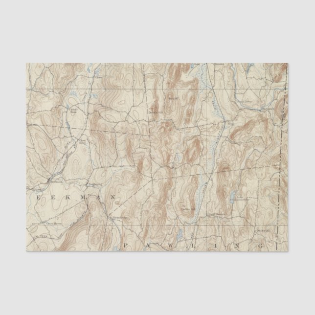 Blatt mit 15 Nelken Seidenpapier (Vorderseite)