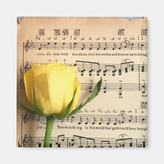 Blatt Music Yellow Rose Magnet (Vorne)